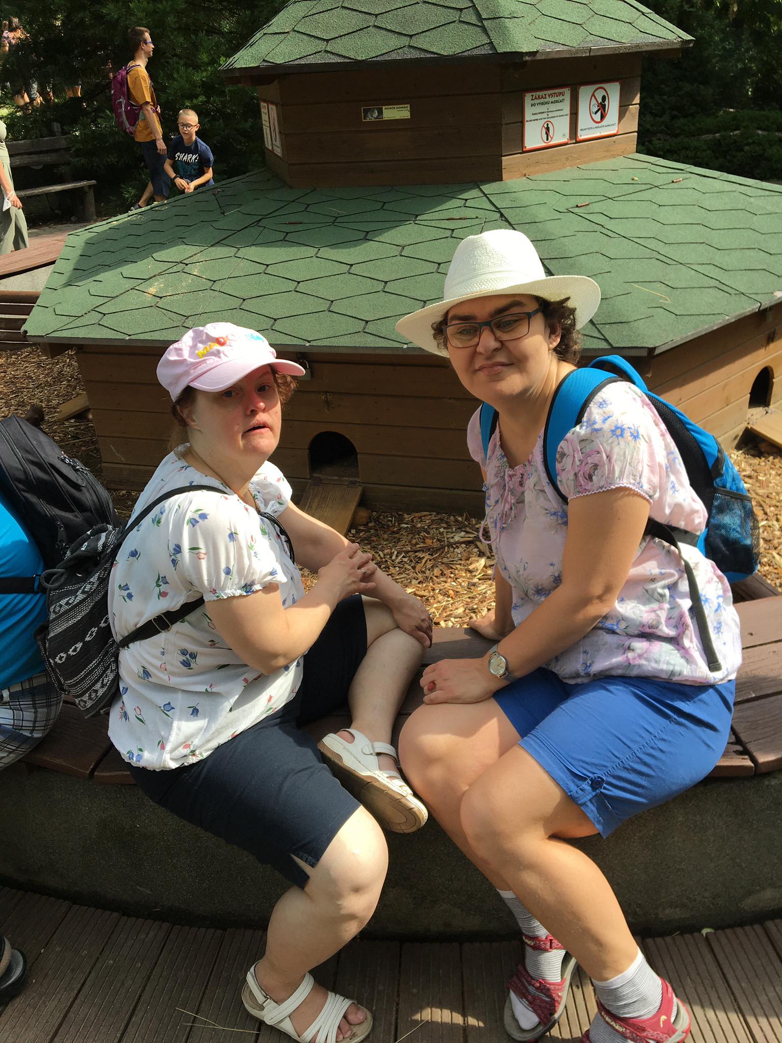 287540142_507615591116130_2780548374640708275_n