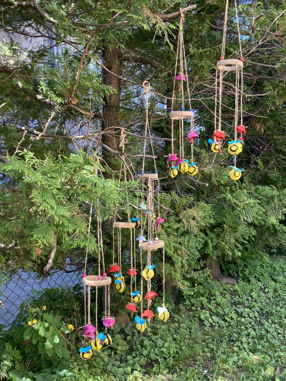 368142802_305759045439671_8814301536984690945_n (1)