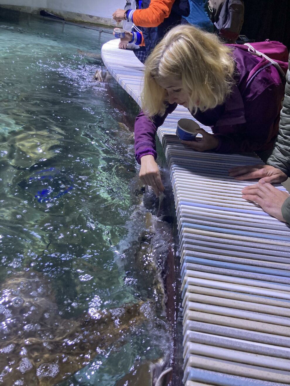 received_3716326108652549